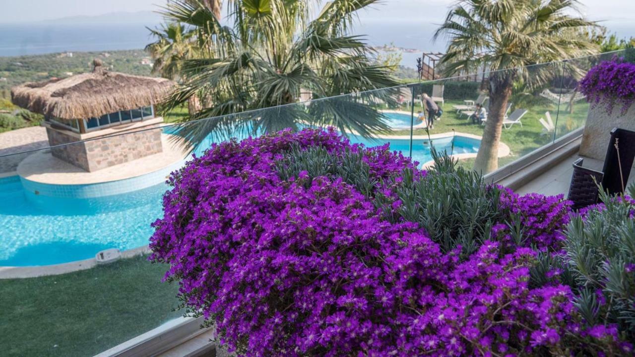 Assos Alis Farm Boutique Hotel & Spa ภายนอก รูปภาพ