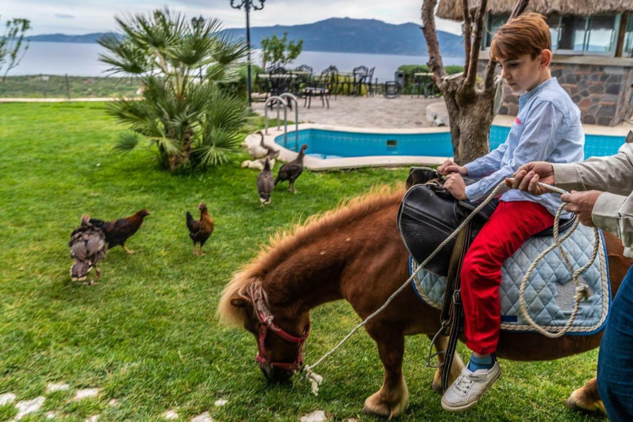 Assos Alis Farm Boutique Hotel & Spa ภายนอก รูปภาพ