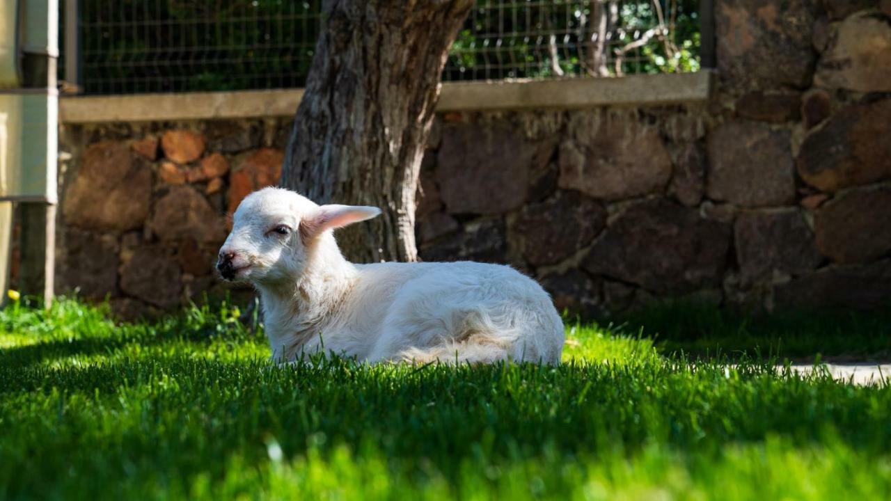 Assos Alis Farm Boutique Hotel & Spa ภายนอก รูปภาพ