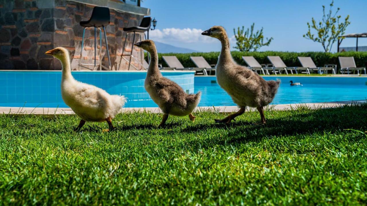 Assos Alis Farm Boutique Hotel & Spa ภายนอก รูปภาพ