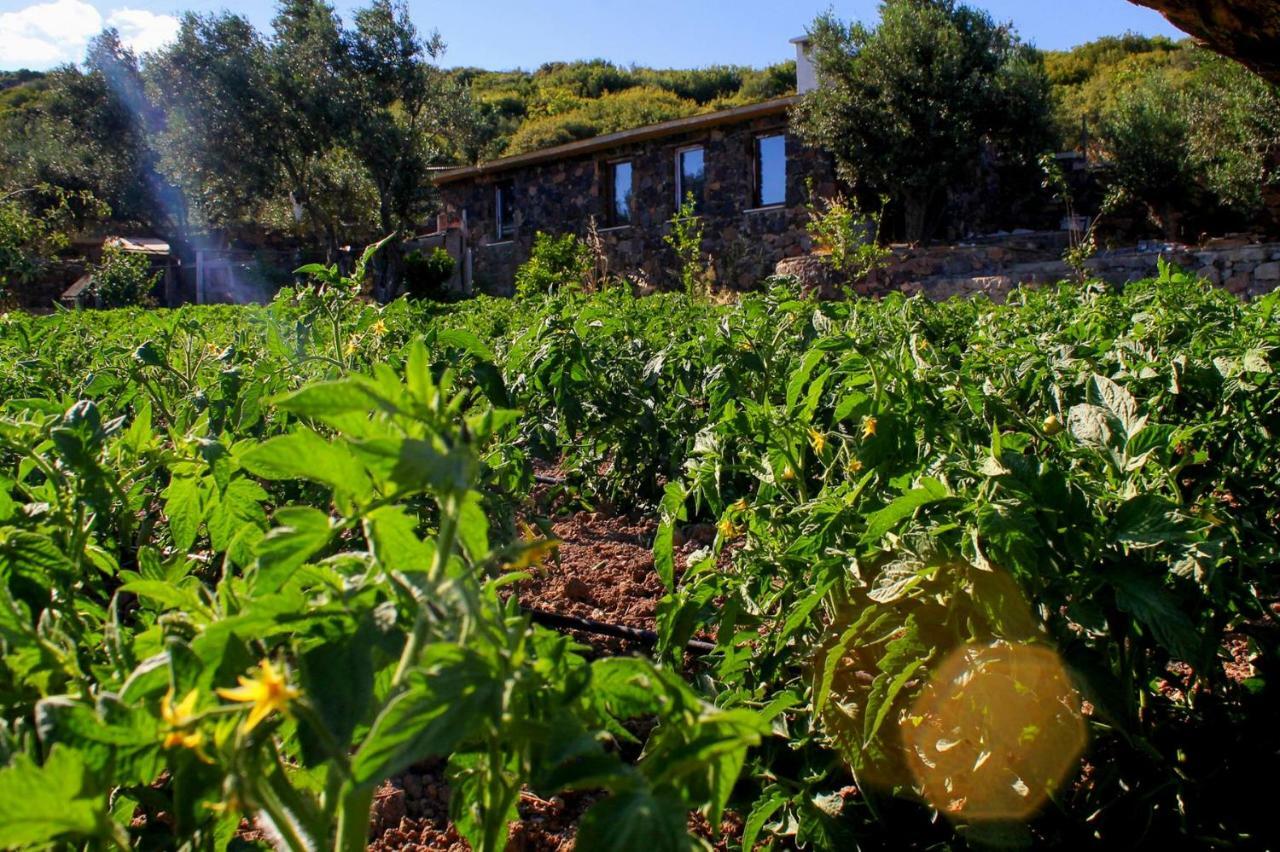 Assos Alis Farm Boutique Hotel & Spa ภายนอก รูปภาพ